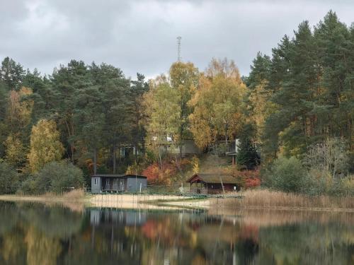Domki Dębrzyno (Domki Debrzyno) in Szenajda
