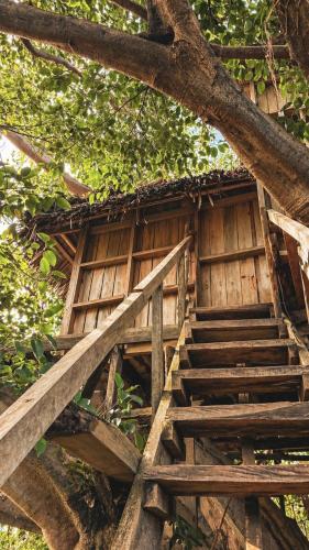 Yasur Backpackers Bungalow & Tree House in Isaka