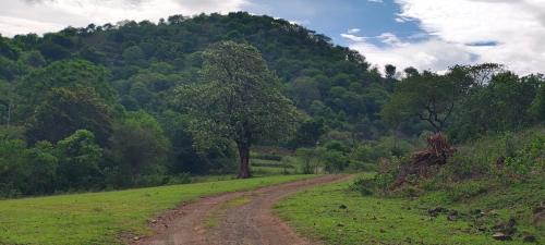 Dreamescape hillview homestay in Agali