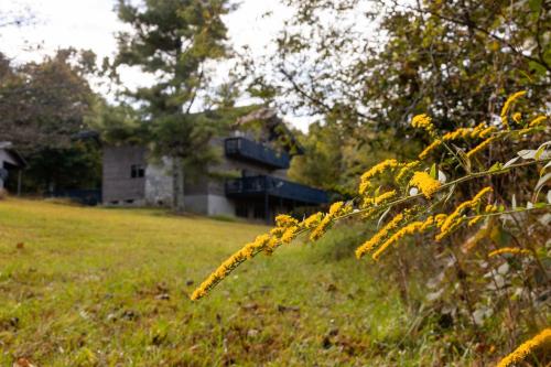 . 168 Secluded Acres Trails, Winery 5BR