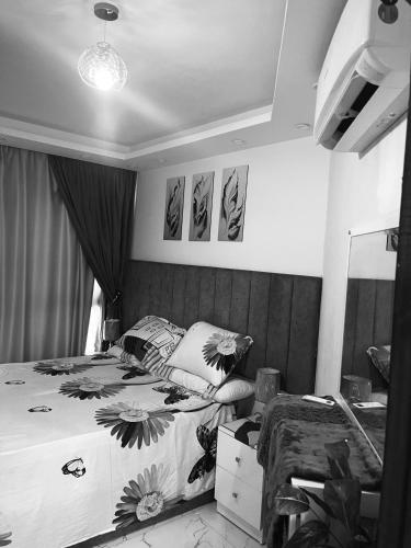Apartment & Chalet بورتو سعيد فندق وشقق مميزة – khách sạn tại Port Said