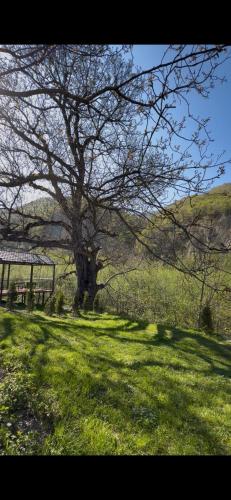Ismayil Shikhseyidov in Qırızdəhnə