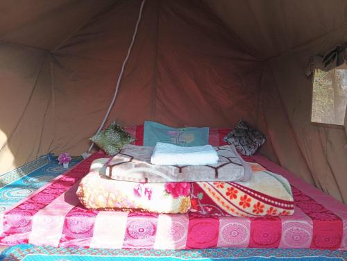 Manali Base Camp & Cafe