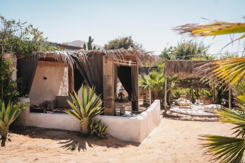Surfiscamp Dakhla 4