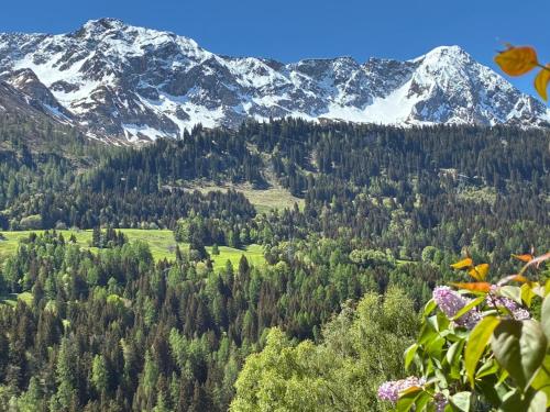 Mountain spot in a cozy nest in Airolo