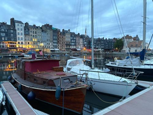 Maison Pin Prenelle appartement classé - Location saisonnière - Honfleur