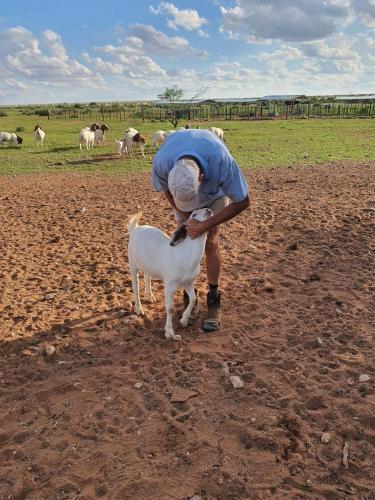 Nuwerust Guest farm in Kenhardt