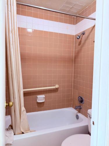 Best Classic Inn & Suites Houston I 45 near IAH - image 6