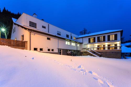 Hotel a restaurace U Vychopňů - image 11