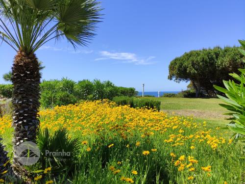 Prainha Clube - image 27