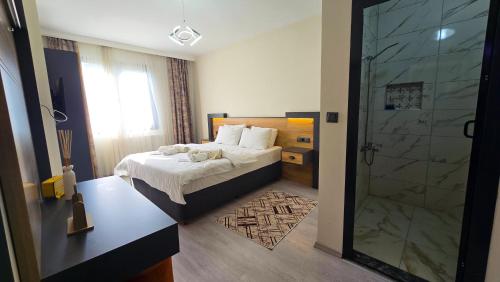 Moonlight Suite 2