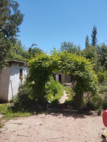 Torken dom in Toktogul