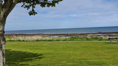 Skats, Firthview Golspie in Golspija