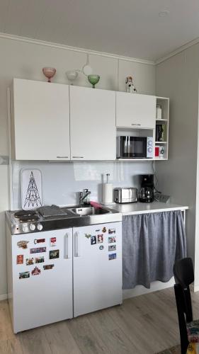 Centre of Lahti, cosy and convenient! in Lahti City Center