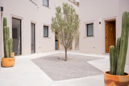 Patio 7 Studios