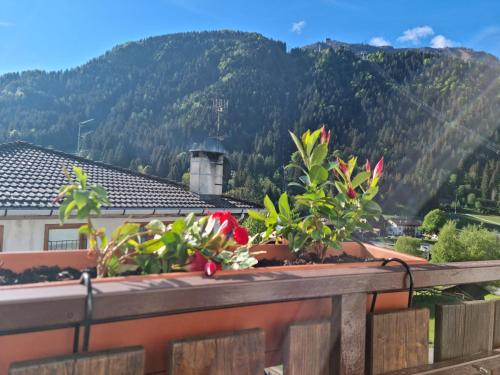 Iekārtas, Zoncolan Secret Escape - WiFi - Netflix - Parking in Ravascletto