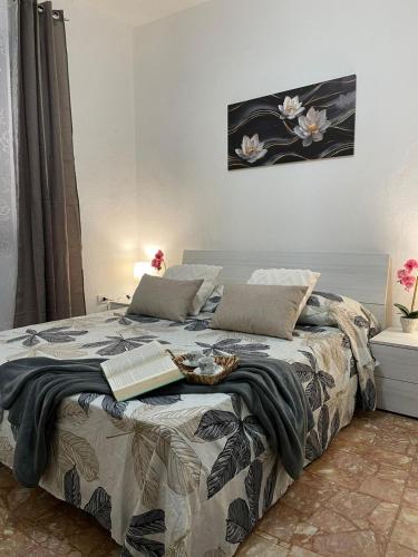 Orchidea in Loceri