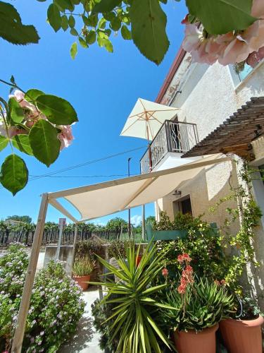 B&B La Ciammaruca in Pollutri