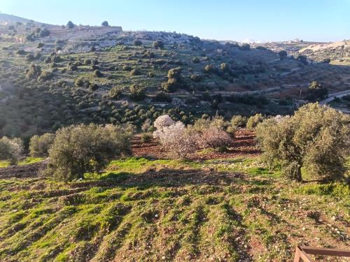 بيت ريفي في عجلون مع مزرعه in Аджлун