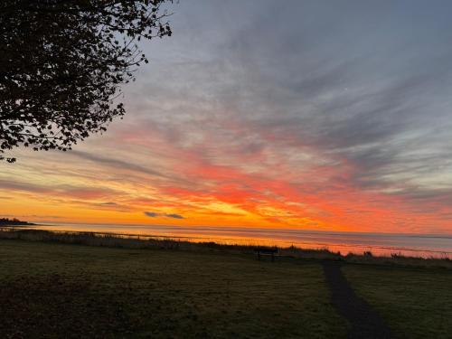 Skats, Firthview Golspie in Golspija