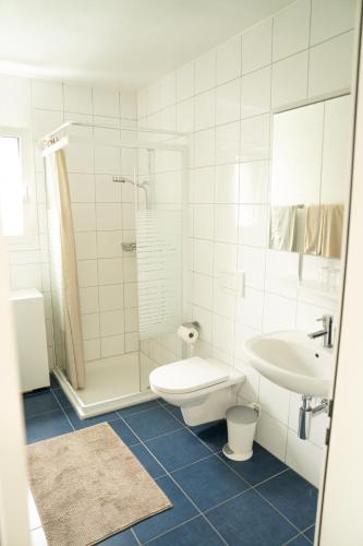 Bathroom, Ufer Nest in Buochs in Buochs