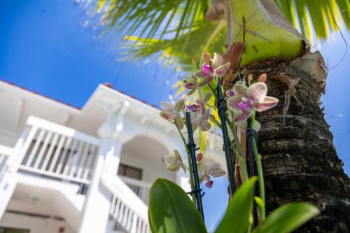 Palm Breeze Hotel
