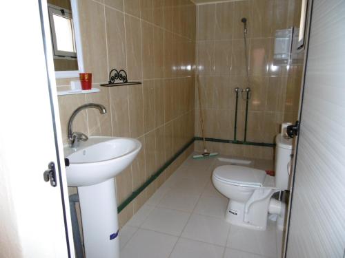 棕榈树宾馆 棕榈树宾馆