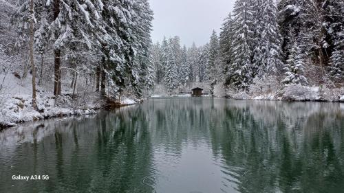Sunhill Apartamente in Imst