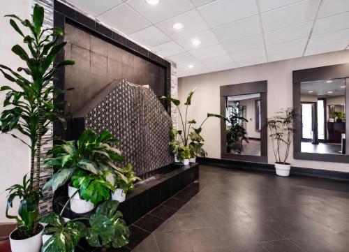 Hotel International Lynnwood