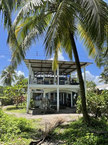 Vista exterior, Hotel Pura Natura Beachfront Tortuguero in Tortuguero