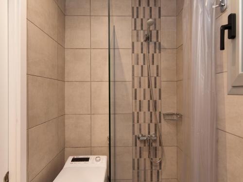 Studio Apartment image 10