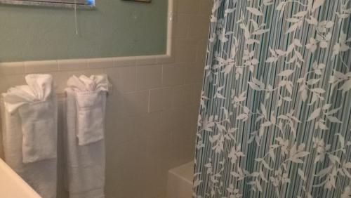 One-Bedroom Apartment Fits 4 People image 3