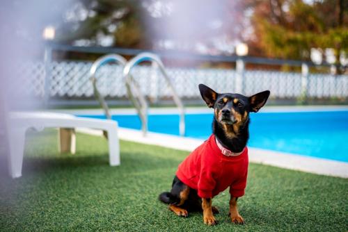 Chuncheon Happysday Pet-Friendly Pension – khách sạn tại Gapyeong Gun