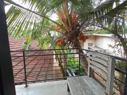 View, The Nest in Tangalle