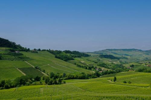 Casa Rafanelli - Monforte d'Alba, Vineyard Views, Panoramic Garden, EV Station & Bike Storage 5