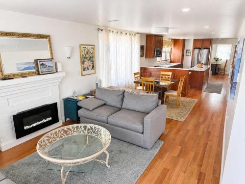 Harvard Sq Gem, Modern City Life in Cambridge, USA