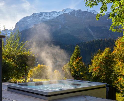 Hotel Waldegg - Adults only, Engelberg
