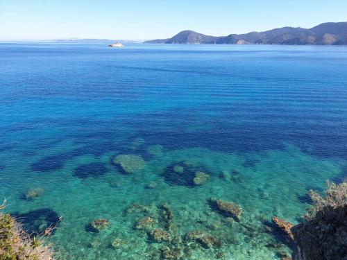 Appartamento Sottobomba - Goelba