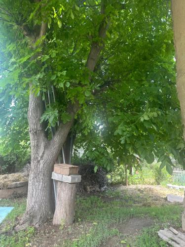 Комната для гостей (Комната для гостеи) in Toktogul