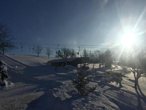 Jagdhütte