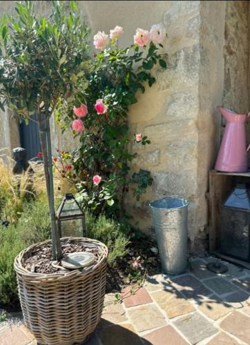 Градина, Cottage aux roses in Colomby