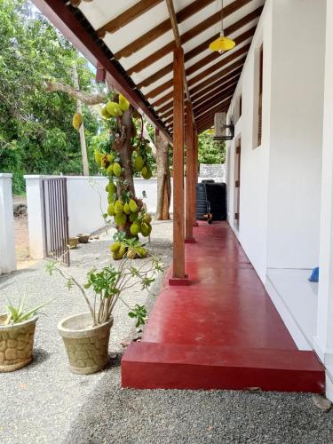Bella Vista Bungalow - image 3
