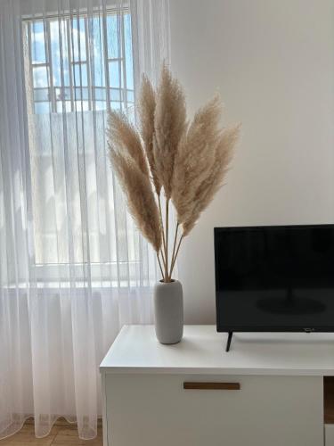 Apartment Bobo - image 3