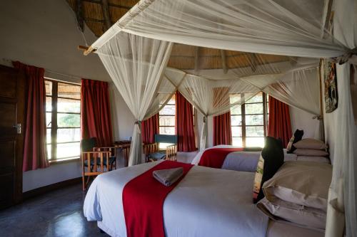 Hlane Royal National Park in Lubombo