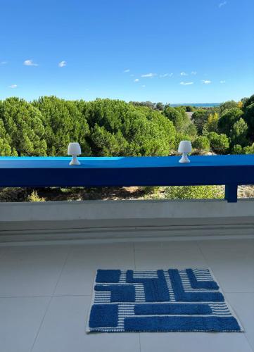 Vue mer, terrasse,clim, wifi, parking, piscine