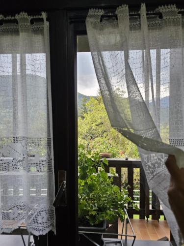Eco Mountain Green House in Prestine