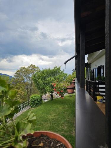 Eco Mountain Green House in Prestine