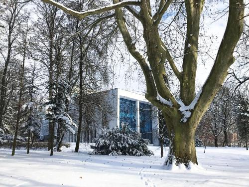 สภาพแวดล้อมโดยรอบ, Design Apartments in Park in โคฮูโตวิเซ