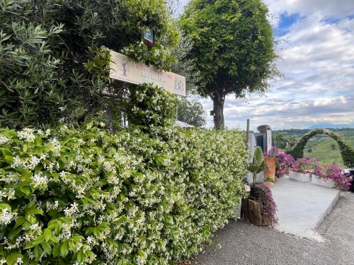 Exterior view of B&B L'Albero Di Antonia