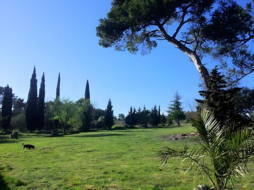 A szálláshely kívülről, Les Pins - Domaine Russol in Peyriac-Minervois